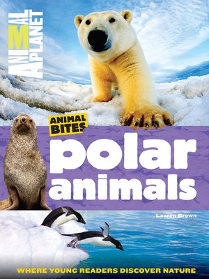 cover image of Polar Animals